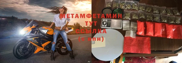 молекула духа Ладушкин