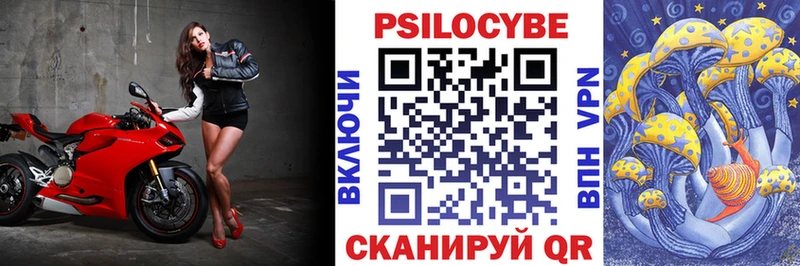 Купить закладки  Братск  Псилоцибиновые грибы ЛСД 